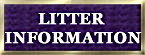 golden retriever breeders, north carolina zest golden retrievers litter button